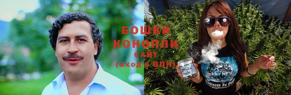 ECSTASY Новодвинск