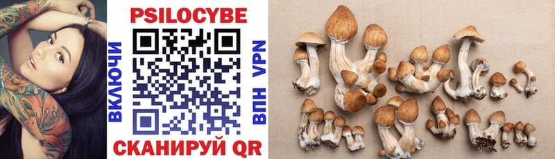 Галлюциногенные грибы Psilocybe  Мамадыш 