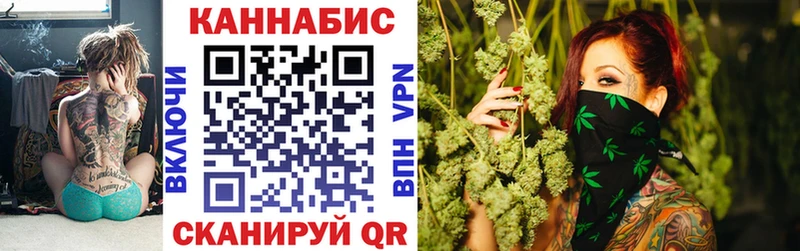 MEGA как войти  Мамадыш  Шишки марихуана план 